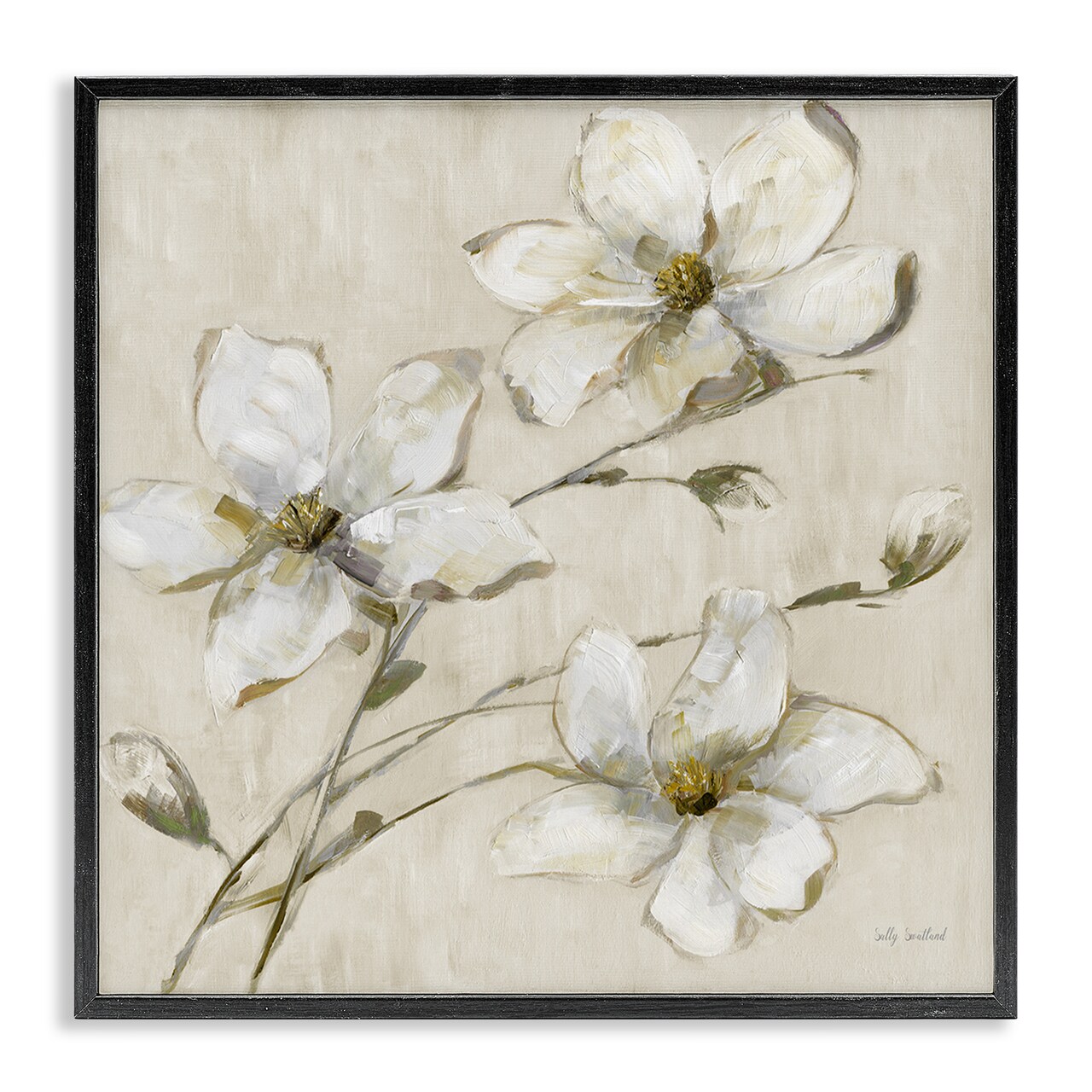Stupell Industries Neutral Tone Dogwood Flowers Framed Giclee Design by Sally Swatland